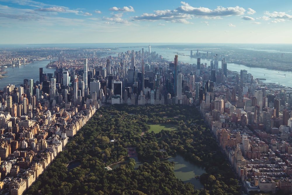 Le calme inattendu de Central Park — une bulle de nature au milieu de la jungle urbaine